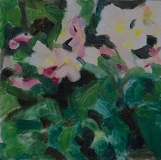 Camelia, oil on panel, 4in x 4in, 2024